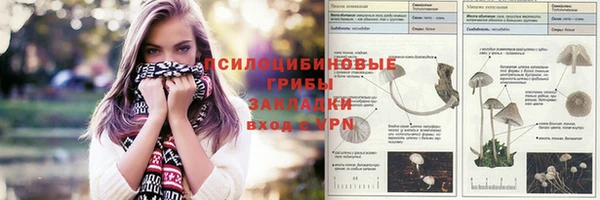 прущие грибы Беломорск
