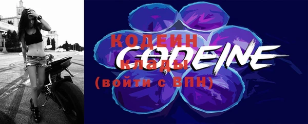 прущие грибы Беломорск