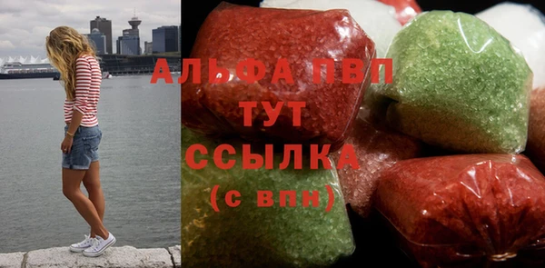 прущие грибы Беломорск