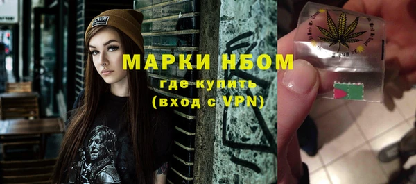 прущие грибы Беломорск