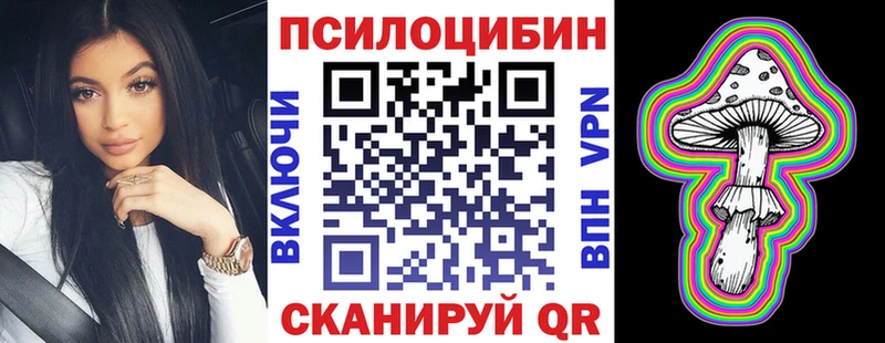 нарко площадка как зайти  Тихвин  Псилоцибиновые грибы Psilocybe 